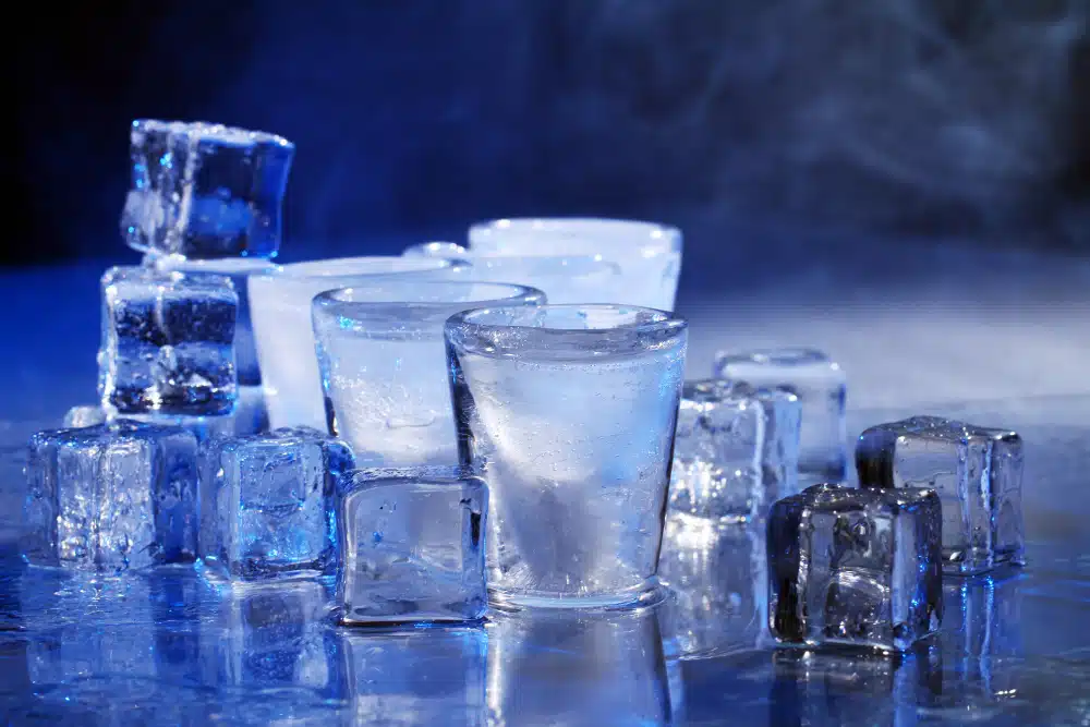 freestanding ice maker repair services